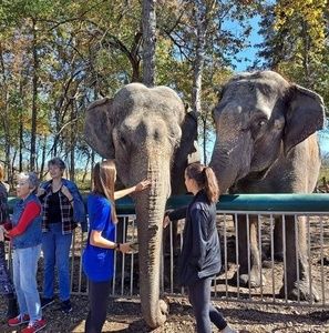 Meet your Posher, Miranda